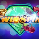 Twin Spin